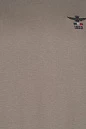 slider-557114