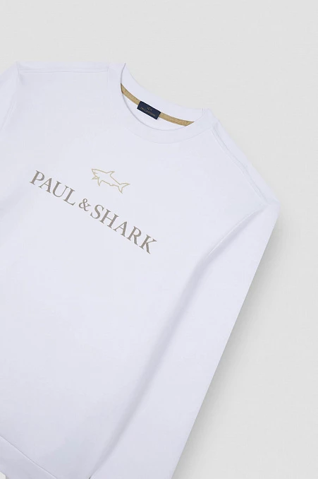 Толстовка мужская PAUL&SHARK